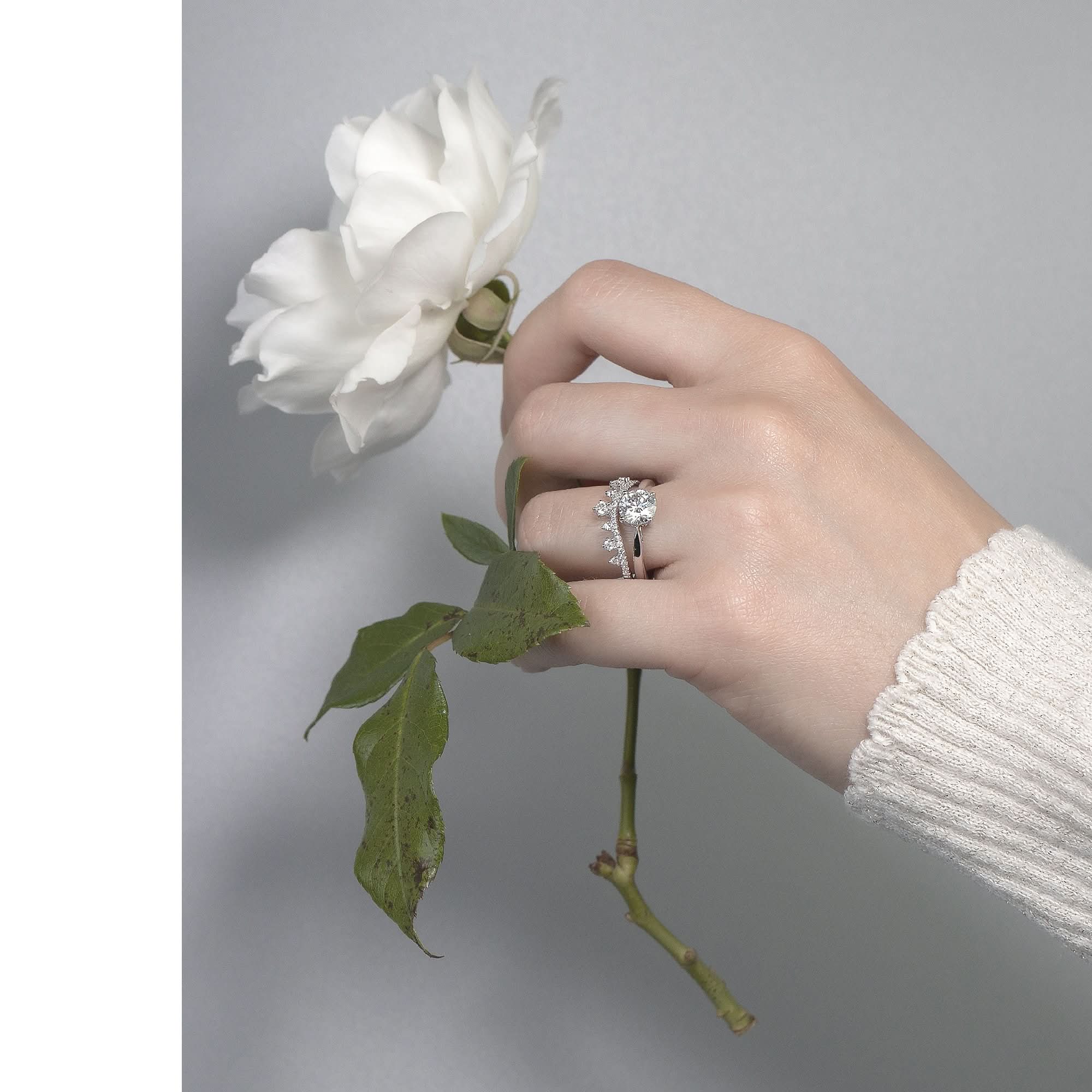 Phoebe & Crowned | Rings